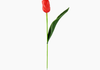 Produto Tulipa Plástico - Vermelho (92276)