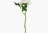 Produto Galho Ranunculus Artificial - Branco (10043)