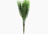 Produto Coral Leaf Pick Artificial - Verde (3303)
