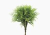 Produto Pick Waterweed Com Pó Artificial - Verde Claro (9704)