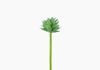Produto Mini Suculento Artificial - Verde (10815)