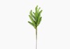 Produto Mini Folhagem Pine Pick Artificial - Verde (10805)