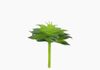 Produto Mini Suculento Artificial - Verde (10166)