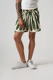 Shorts Cós Elástico Viscose Dimas Agave Green Barrado