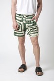 Shorts Curto Adrian 2 Pincel Green Viscose