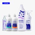 Kit Ale Feltre