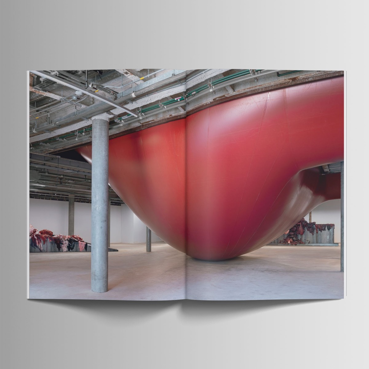 Inflamação - Anish Kapoor