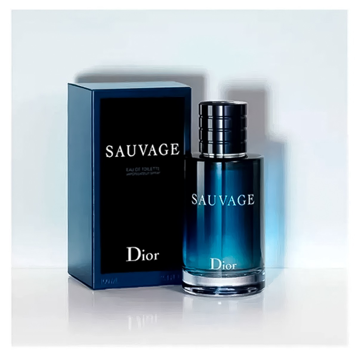 Refil Sauvage Dior Perfume Masculino Eau de Parfum 300ml - DOLCE VITA