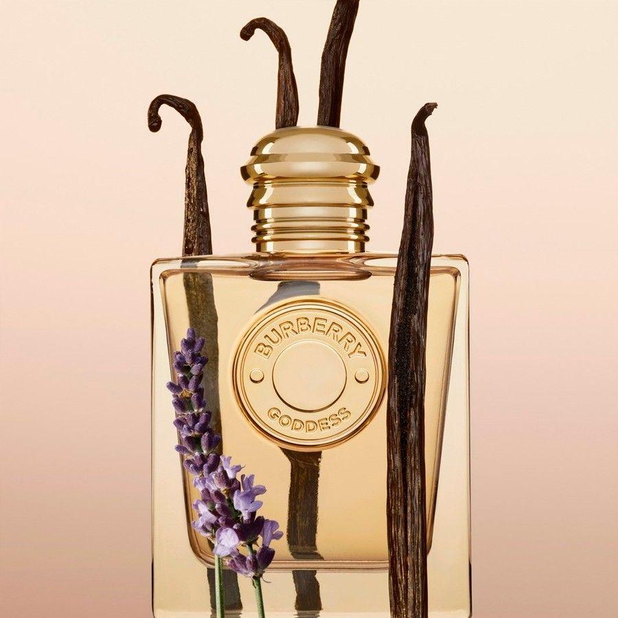 Kit Burberry Goddess Eau de Parfum Feminino 50ml E Body Lotion