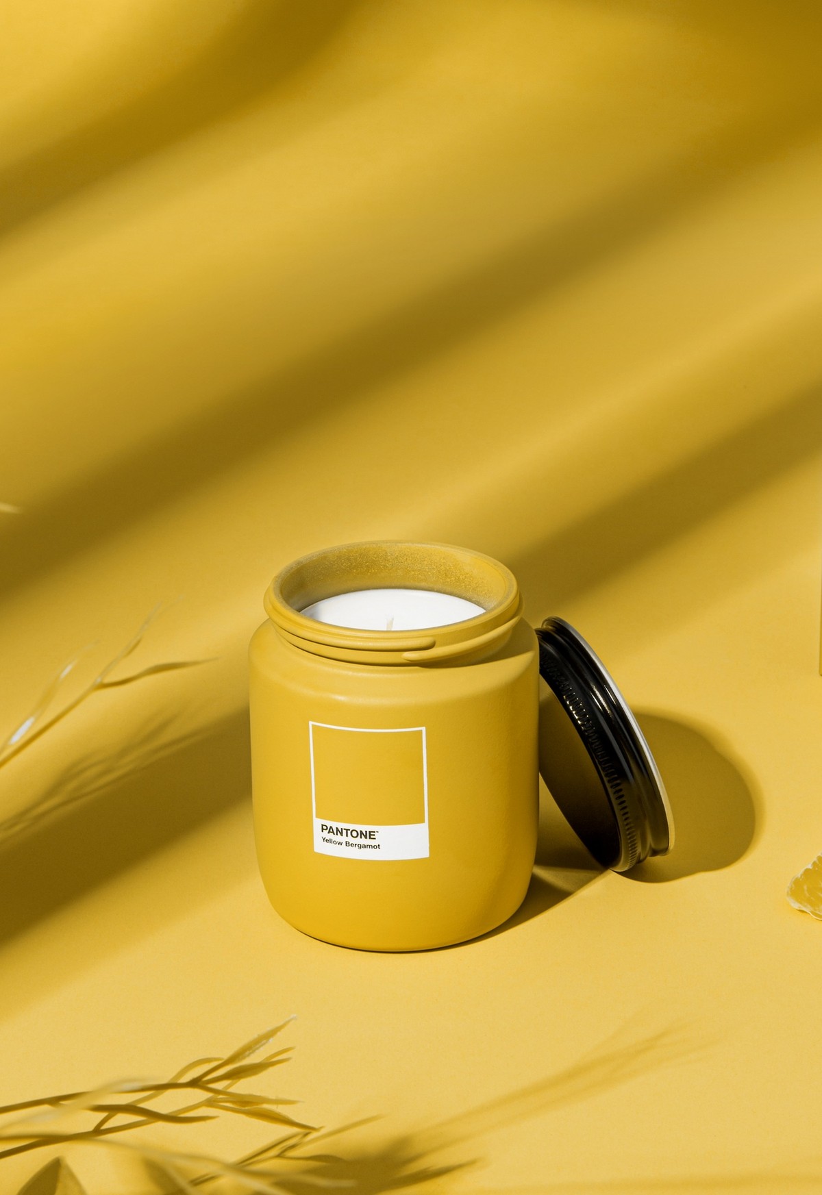 Vela Pote | Yellow Bergamot - Pantone