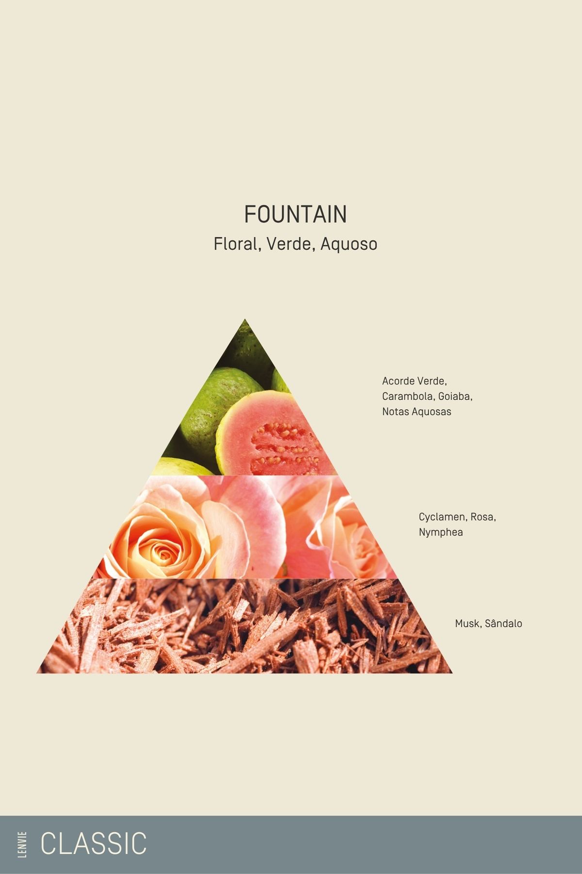 Sabonete Líquido 250 ml | Fountain - Classic