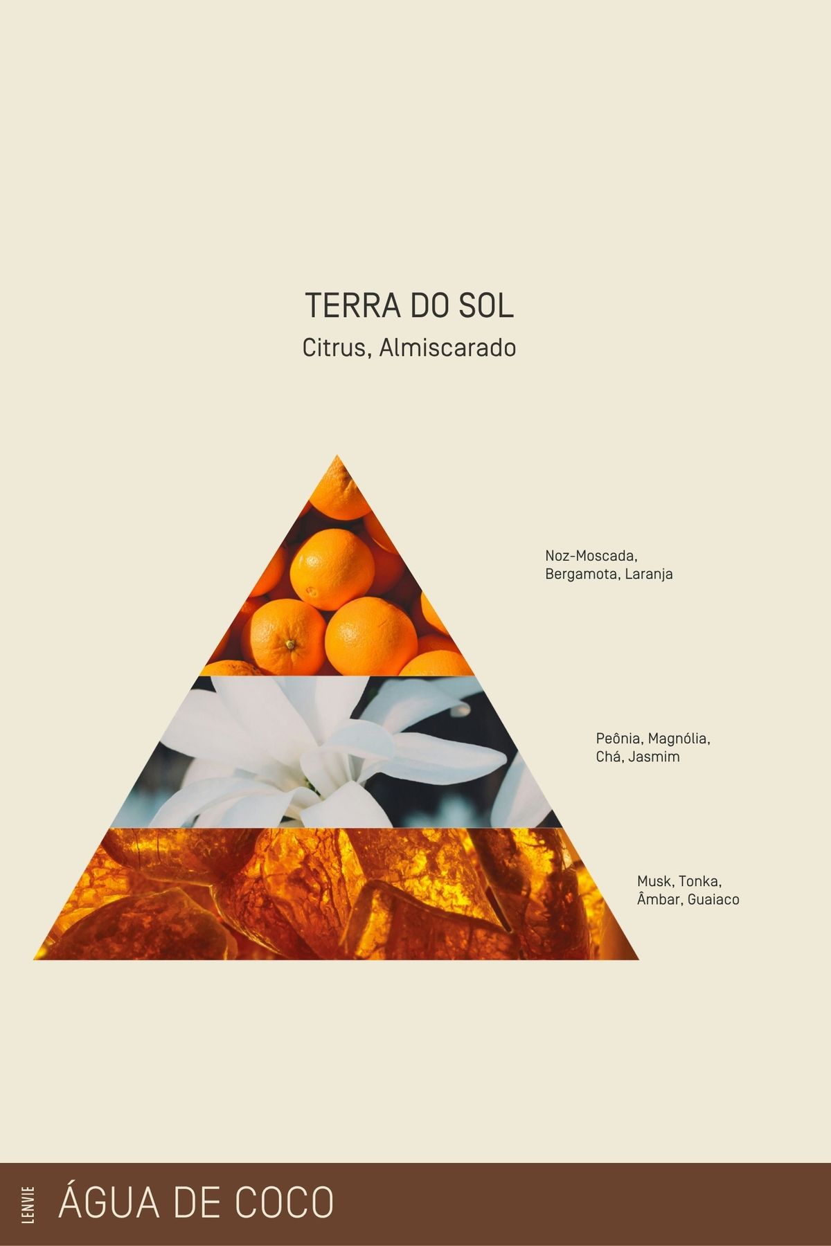 Kit Sabonete em Barra 80g | Terra do Sol - Água de Coco