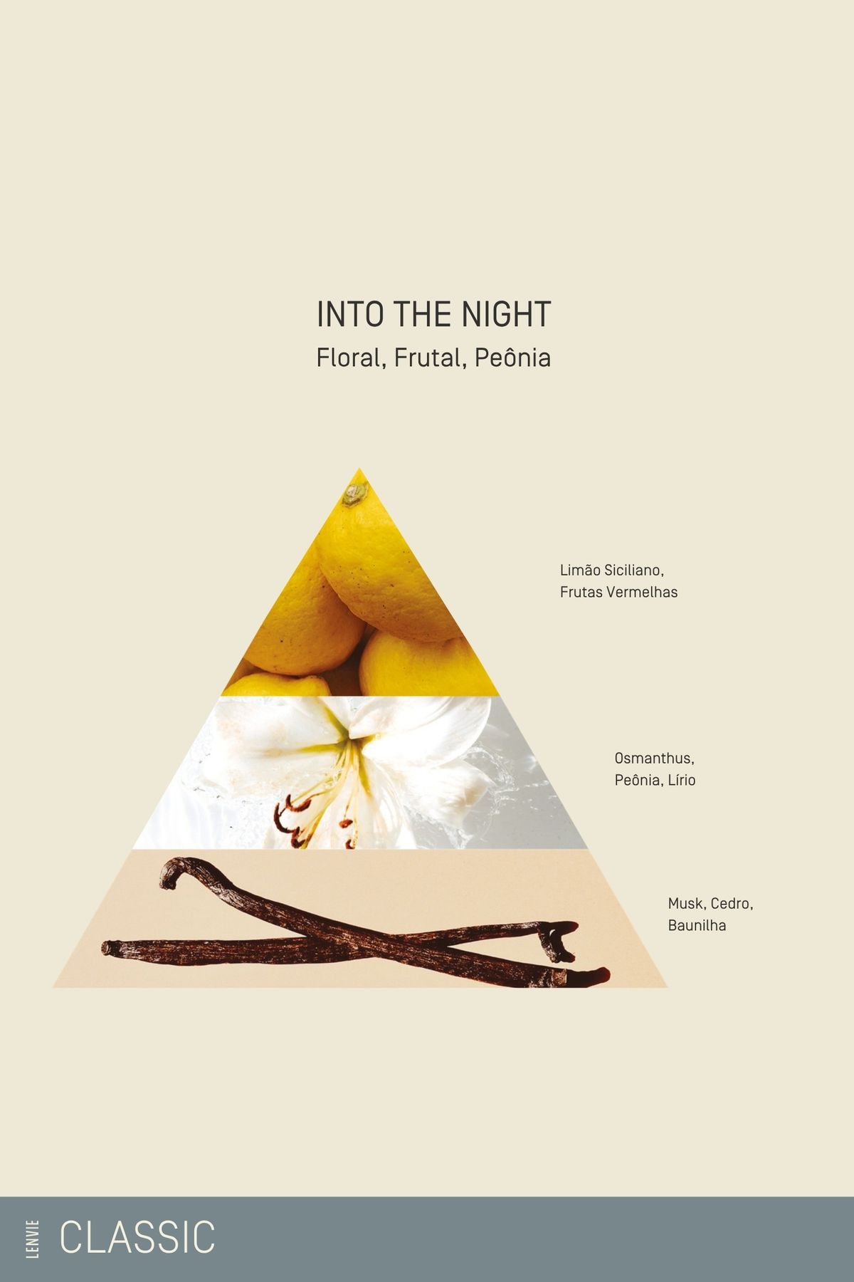 Vela Perfumada 210 g | Into The Night - Classic