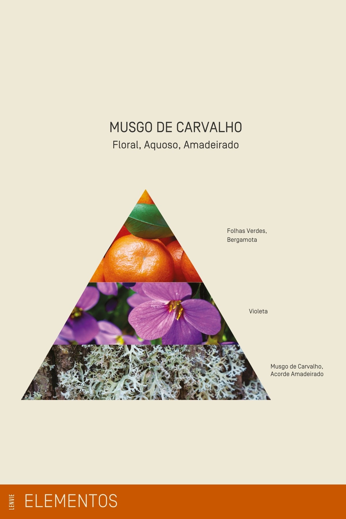 Refil Sabonete Líquido 500 ml | Musgo de Carvalho