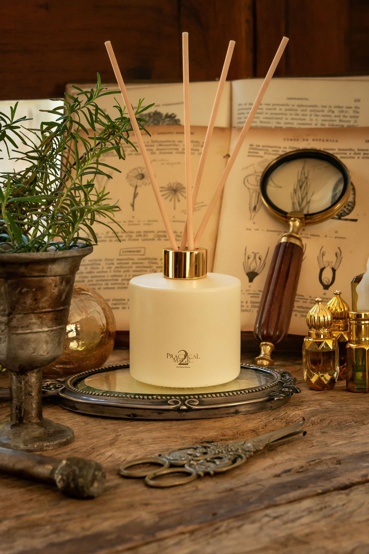 Difusor de Perfume 200 ml | Alecrim Guardião - Practical Magic