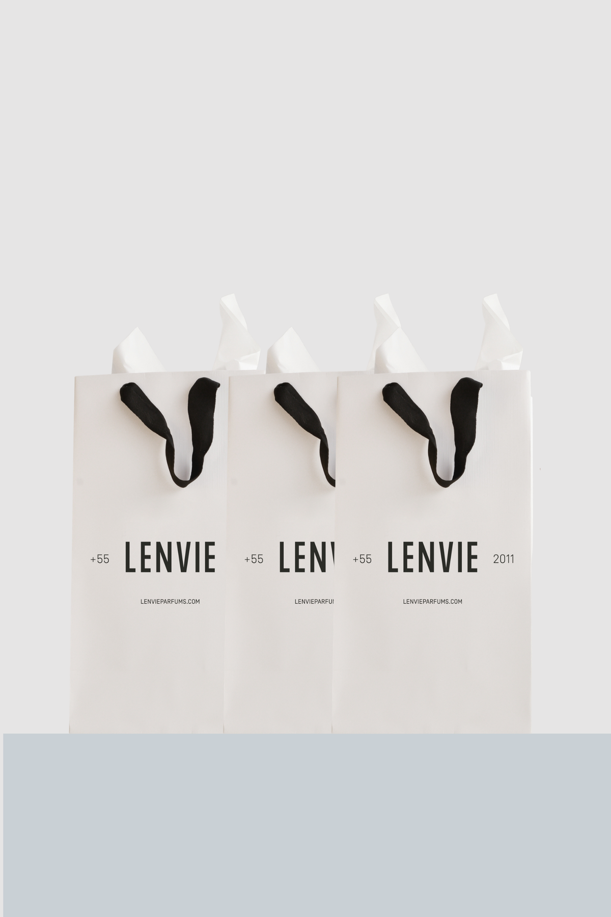 Kit 3 Home Sprays 100ml |  LENVIE