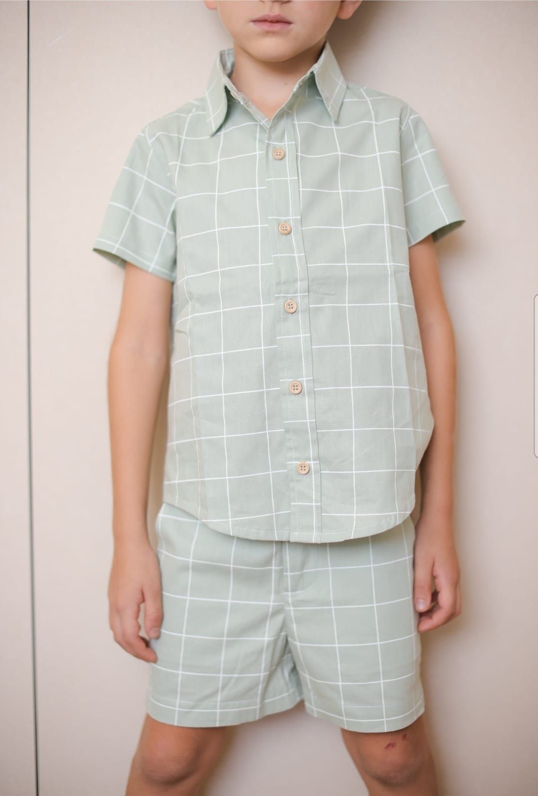 CAMISA LEE XADREZ VERDE