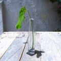 Vaso Vidro Slim P