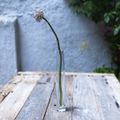 Vaso Vidro Slim M