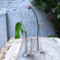 Vaso Vidro Slim M
