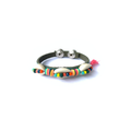 PULSEIRA BACUTIA
