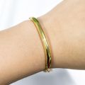 PULSEIRA LUCIANA