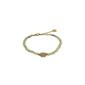 PULSEIRA VIVI