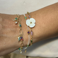 PULSEIRA LAIS