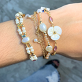 PULSEIRA MELLIS
