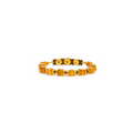 PULSEIRA ARYA