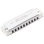 Gaita Diatônica Blues T008 Cromada 20 Vozes Com Case