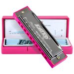 Gaita Diatônica Blues Azul e Rosa T10-4S 20 Vozes Dó (C) Com Case