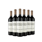 Kit com 6 Nosotros Single Vineyard Nómade Malbec 2020