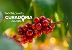 Café em Grãos Imigrante - 100% Arábica - 1Kg