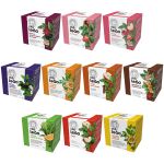 Combo Chá Leão Frutas e Flores Com 100 Sachês embalados individualmente