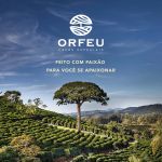 Café em Grãos Orfeu Clássico e Intenso - Combo 2 x 1Kg