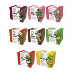 Combo Chá Leão Frutas e Flores 8 Caixas 85 Sachês Embalados Individualmente