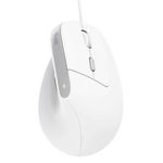 Mouse Ergonômico Vertical Trust Bayo II Branco - 25397