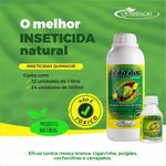 Controle de Pragas Dead Bug Quimiagri - 100ml