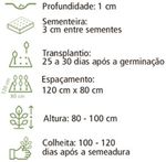 SEMENTE PIMENTA MALAGUETA H076 TOPSEED