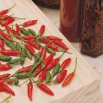 SEMENTE PIMENTA MALAGUETA H076 TOPSEED