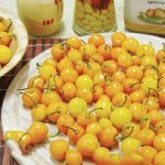 SEMENTE PIMENTA BODE AMARELA H184 TOPSEED