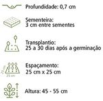 SEMENTE DAHLIA UNWINS DOBRADA SORTIDA F057
