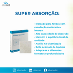 Curativo Biatain Alginato AG 10x10cm Coloplast