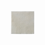 Curativo Biatain Alginato AG 10x10cm Coloplast