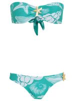 Conjunto de biquíni com Estampa de Estrela-do-mar 