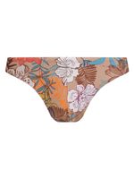 Sunga Cavada Estampa Floral Color