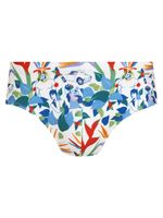 Sunga intermediaria estampada 