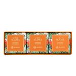 Sabonete em Barra Amir Slama + Avatim 100g (Cx. com 3 unid.)