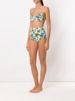 Biquíni top aro e tanga hot pants Amir Slama